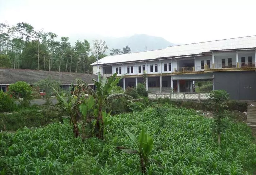 Majatalo Km 31 Sujono Guesthouse
