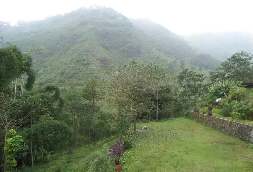 Majatalo Km 31 Sujono Guesthouse