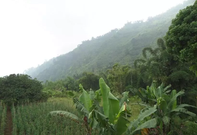 Majatalo Km 31 Sujono Guesthouse