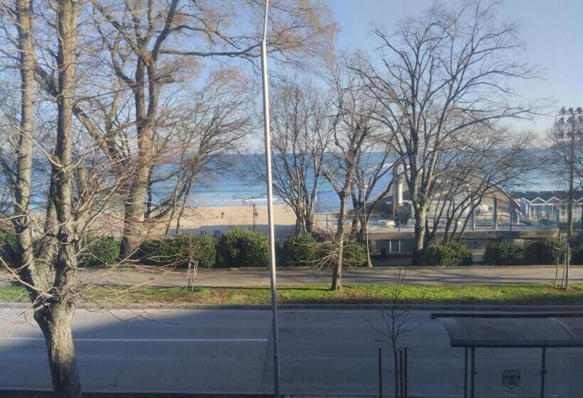 پانسیون My Room