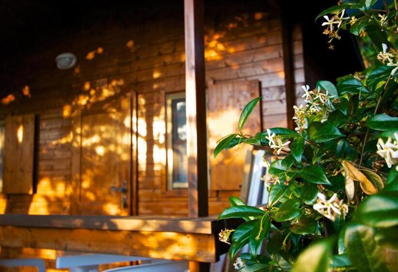 渡假胜地  Villaggio La Siesta