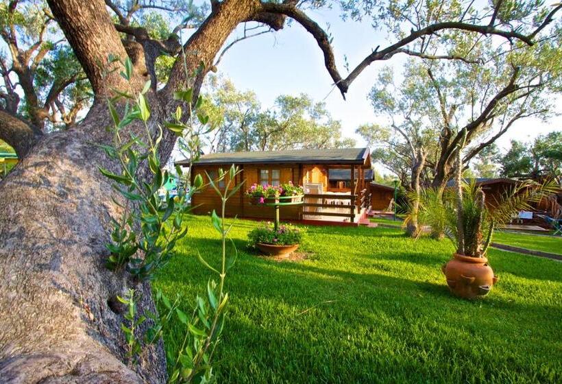 渡假胜地  Villaggio La Siesta