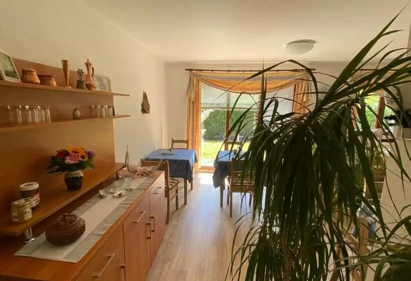 Bed and Breakfast Pension Brilke Negast