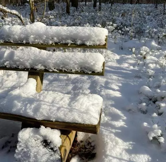 هتل Am Müritz Nationalpark