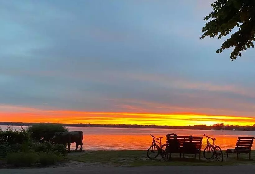 هتل Am Müritz Nationalpark