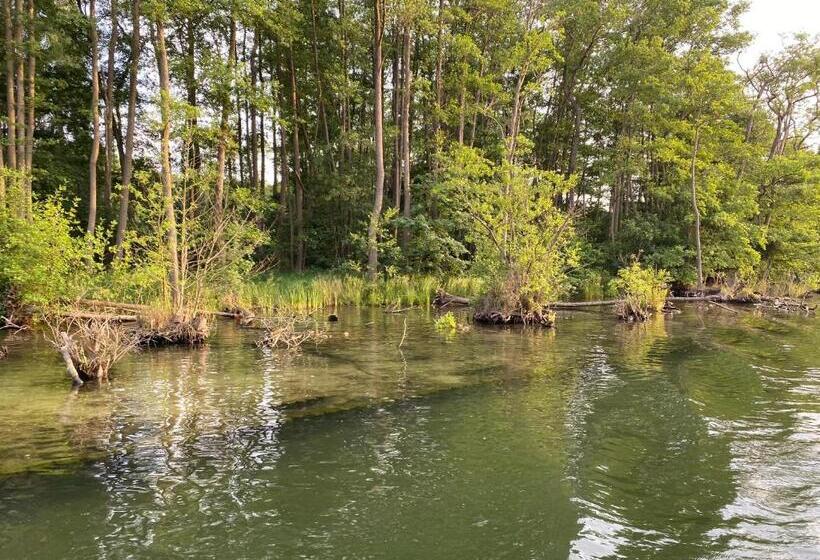 ホテル Am Müritz Nationalpark