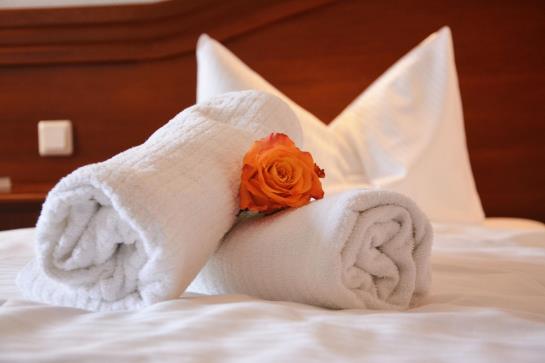 호텔 & Restaurant Dreiwasser