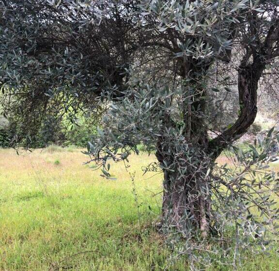 ベッドアンドブレックファースト Les Garrigues Bleues