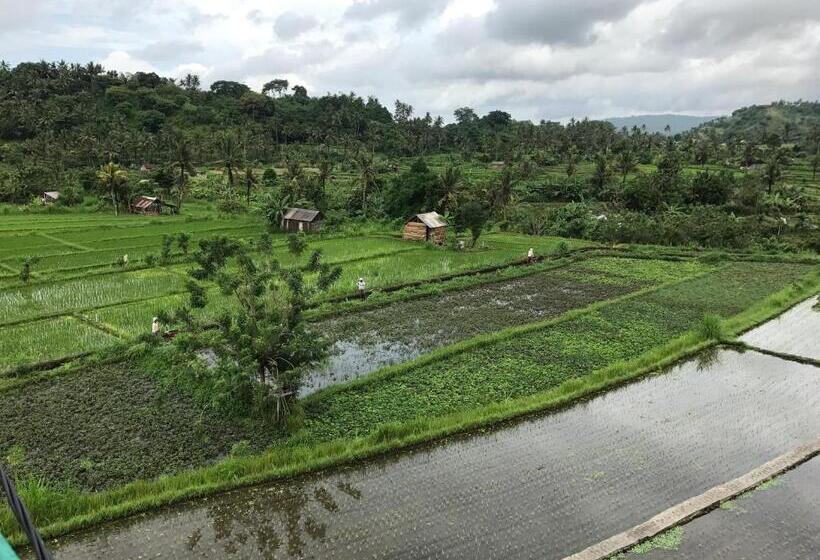 膳宿费 Gumibali Villa