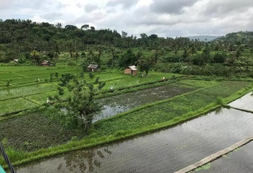 ペンション Gumibali Villa