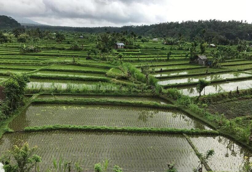 膳宿费 Gumibali Villa