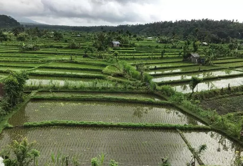 ペンション Gumibali Villa