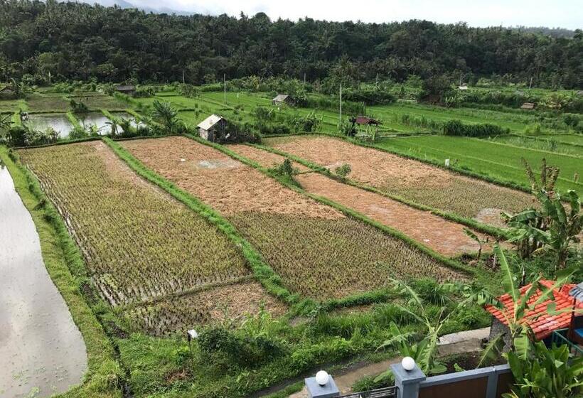 膳宿费 Gumibali Villa