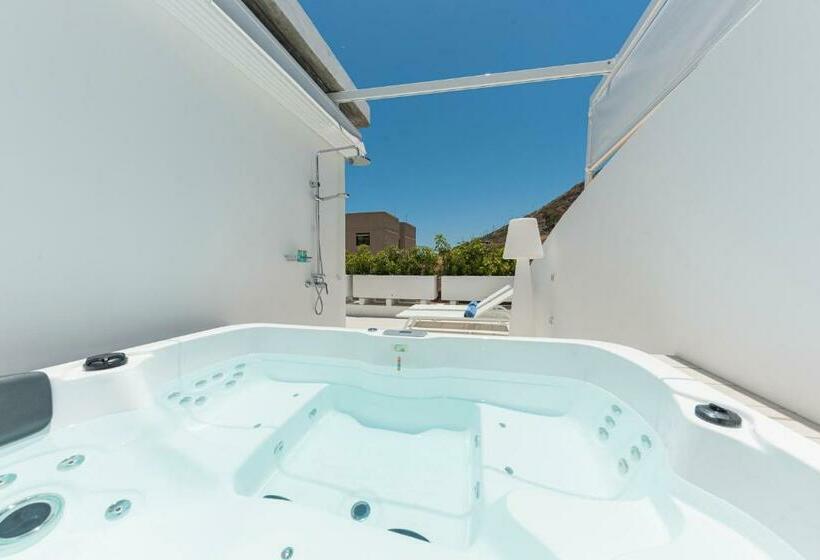 The Terraces Luxury Penthouses, 3d