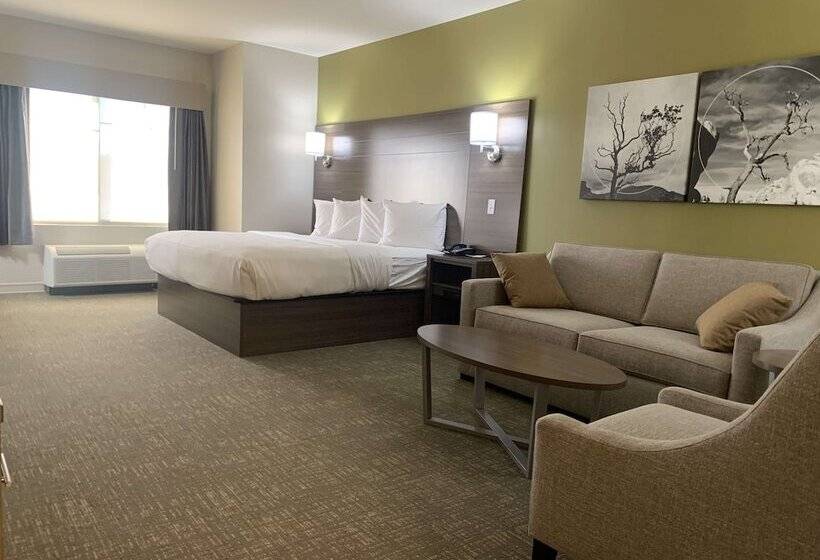 酒店 Best Western Plus Horseheads Inn & Suites