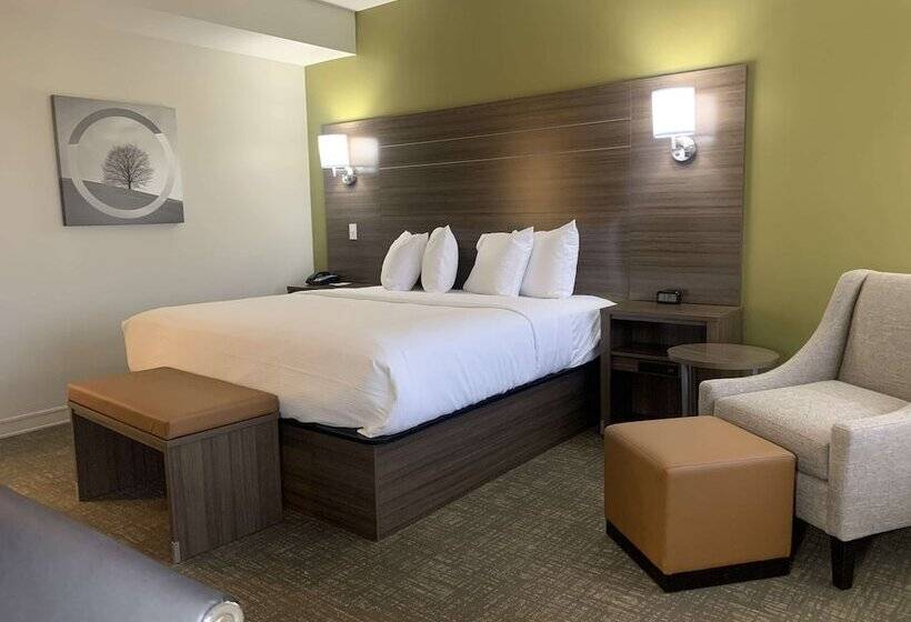 酒店 Best Western Plus Horseheads Inn & Suites