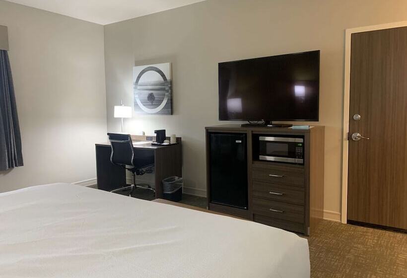 酒店 Best Western Plus Horseheads Inn & Suites