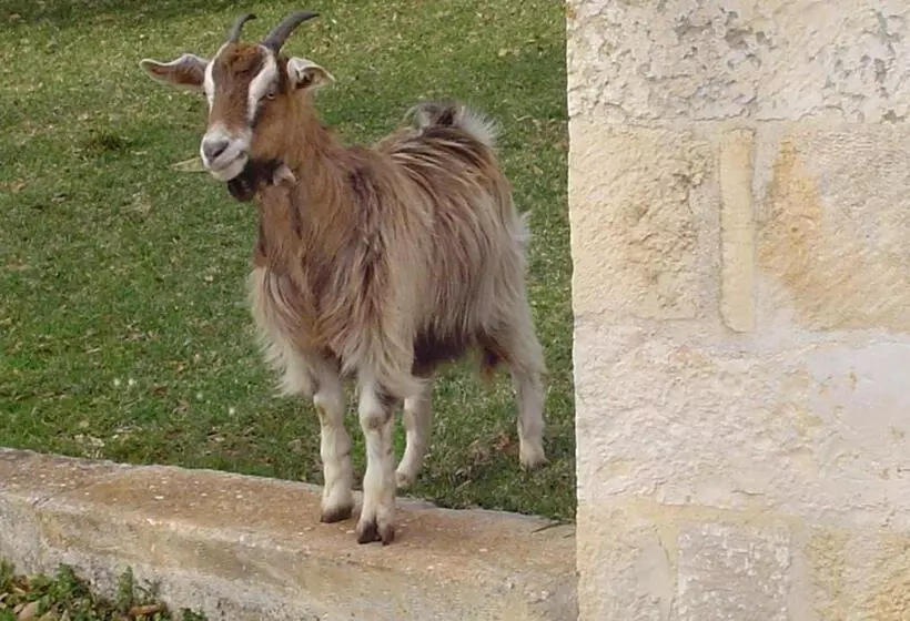 Masseria Serio