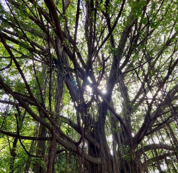 هاستل Habitat15@airlines