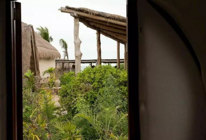 ベッドアンドブレックファースト Casa Ku Hotel   Adults Only