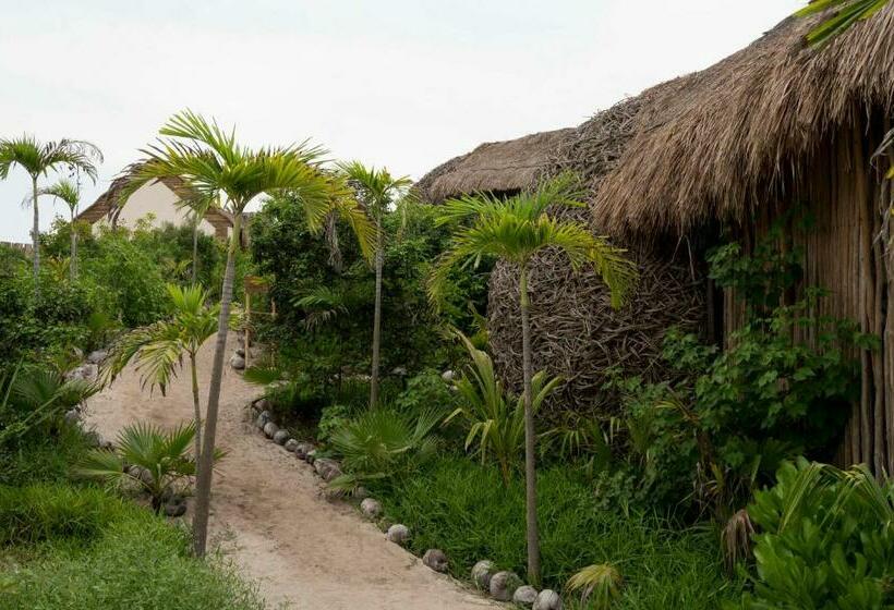 צימר Casa Ku Hotel   Adults Only