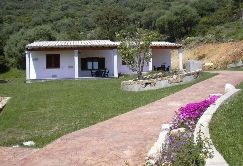 酒店 Lu Baroni Budoni