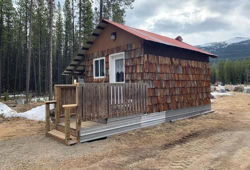 مبيت وإفطار Jade City Dog House