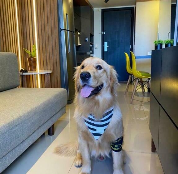 Lake Side Reformado Lago Paranoá Brasília Df