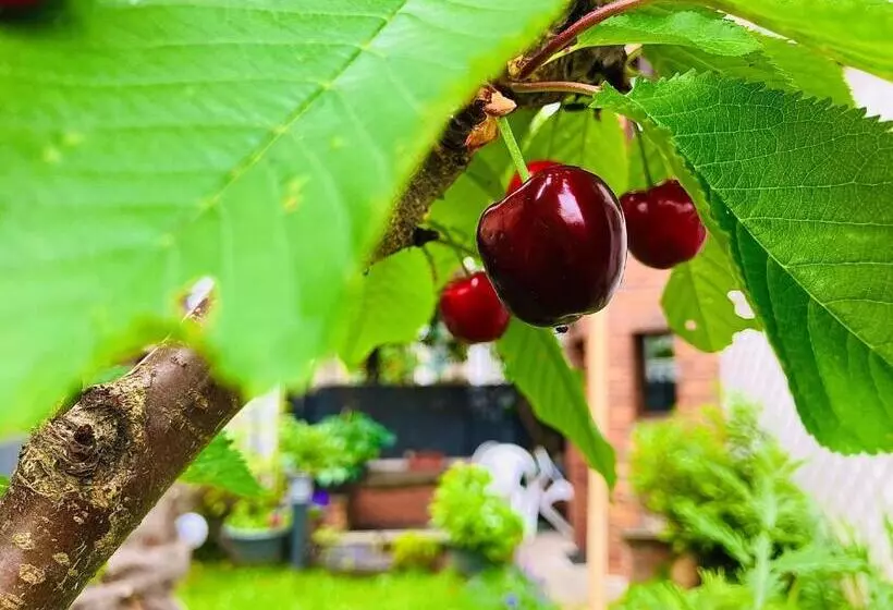 Aamiaismajoitus (B&B) Le Jardin Paris