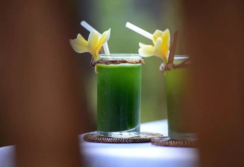 Alam Bidadari Seminyak Villas