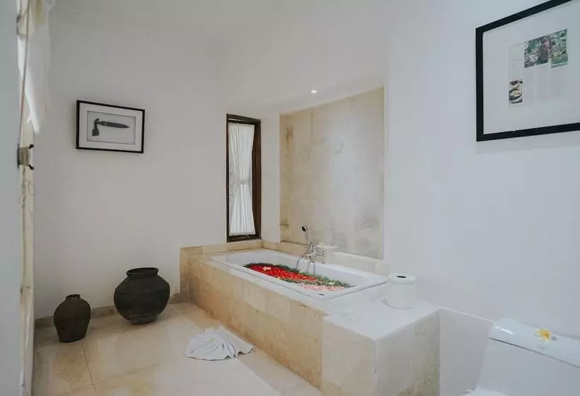 Alam Bidadari Seminyak Villas