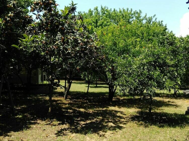 호텔 Armina Pension