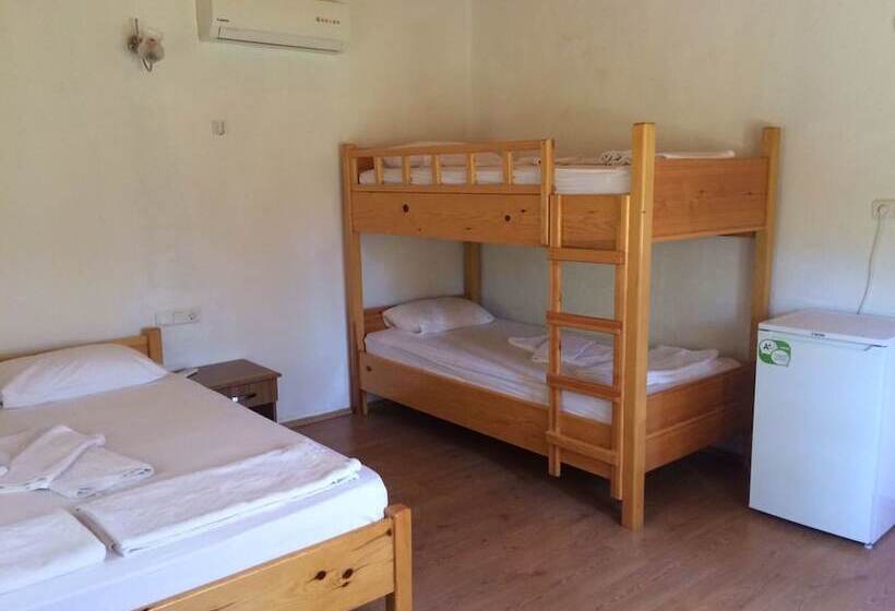 호텔 Armina Pension