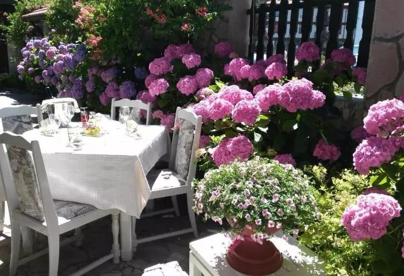 בית מלון כפרי Grami