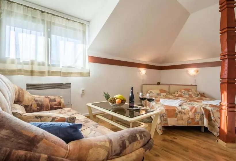 בית מלון כפרי Grami