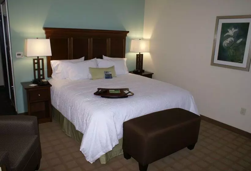 فندق Hampton Inn & Suites Center