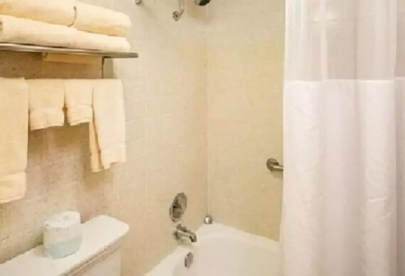 فندق Hampton Inn & Suites Center