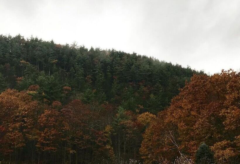 فندق على الطريق The Little Lion