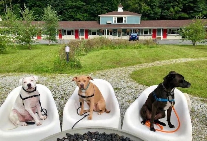 فندق على الطريق The Little Lion