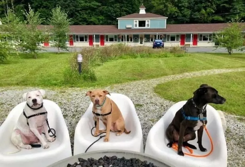 모텔 The Little Lion