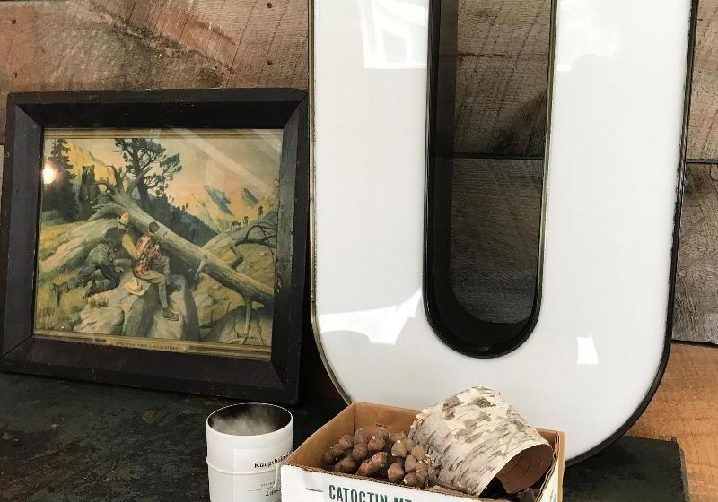 فندق على الطريق The Little Lion