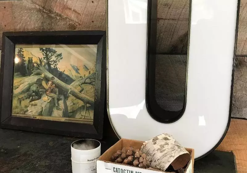 모텔 The Little Lion