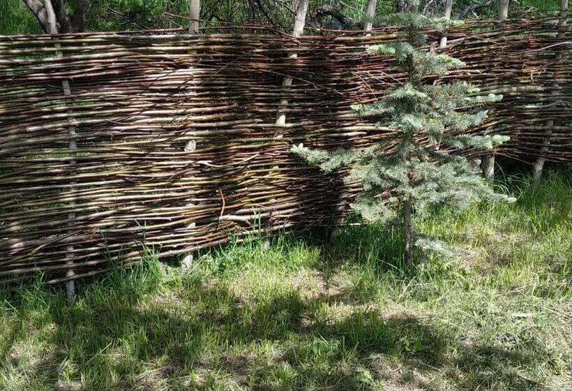 تختخواب و صبحانه Turan Handmade Yurt With Heated Floors