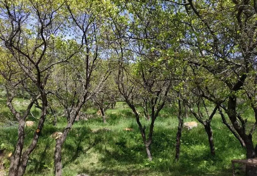 تختخواب و صبحانه Turan Handmade Yurt With Heated Floors