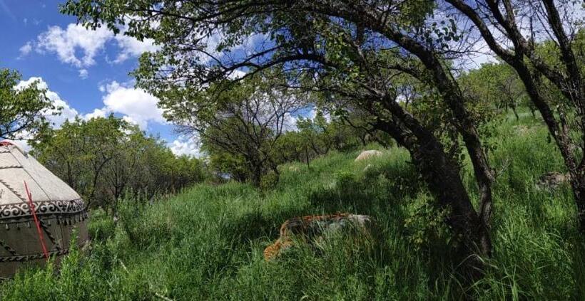 تختخواب و صبحانه Turan Handmade Yurt With Heated Floors