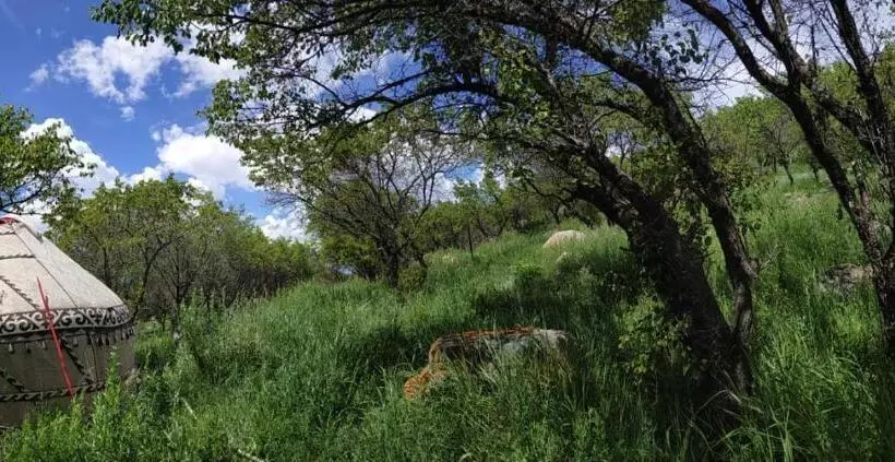 تختخواب و صبحانه Turan Handmade Yurt With Heated Floors