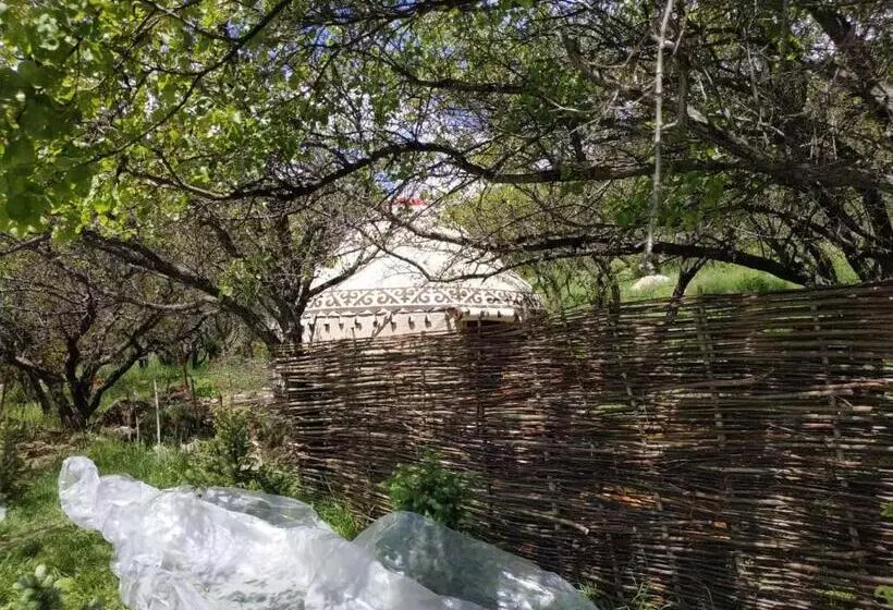 تختخواب و صبحانه Turan Handmade Yurt With Heated Floors