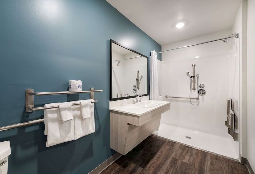 酒店 Woodspring Suites Greensboro   High Point North