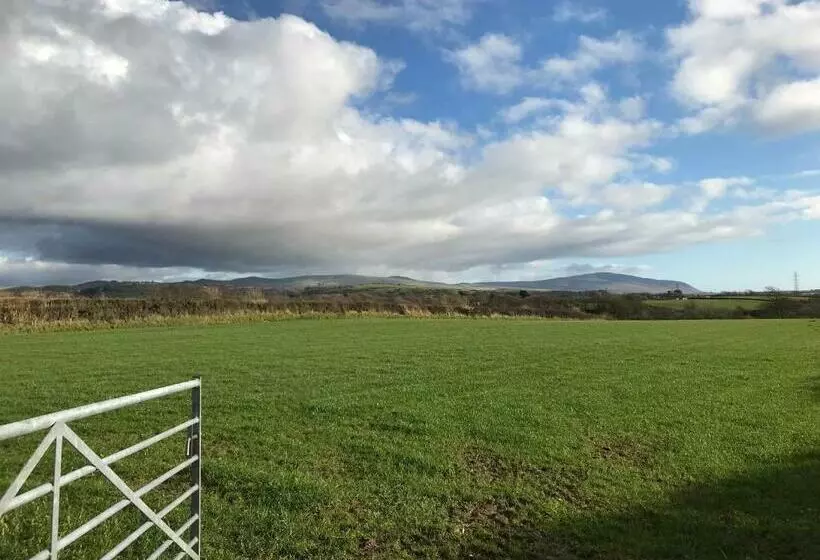 Dale View Bed & Breakfast