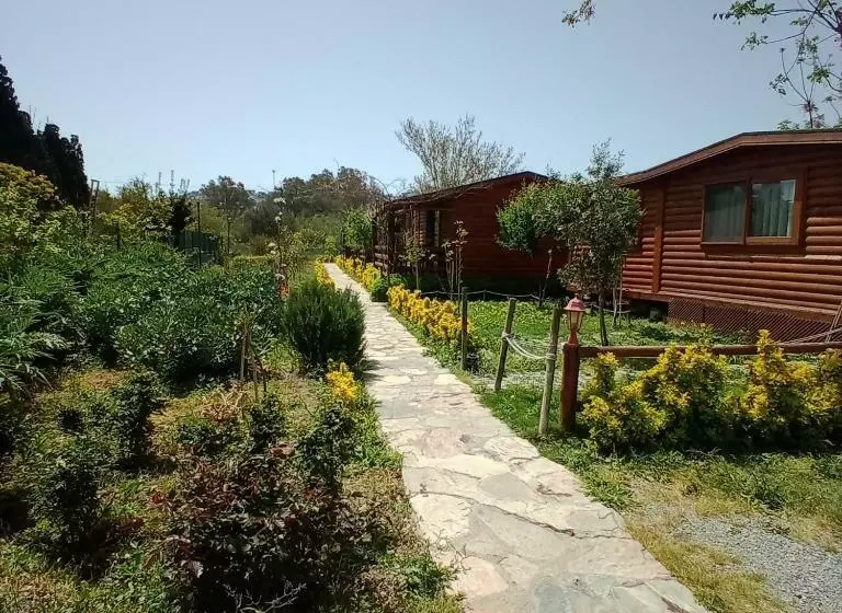 Defnewoodhome
